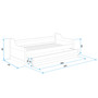 Dětská postel nebo gauč s výsuvnou postelí DAVID 190x80 cm Zelená Borovice - galerie #6